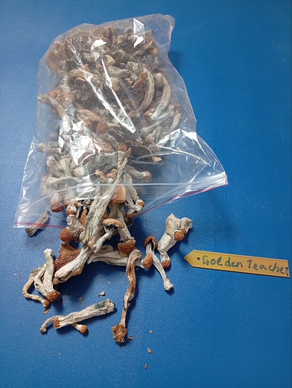 3 g Mushrooms🍄